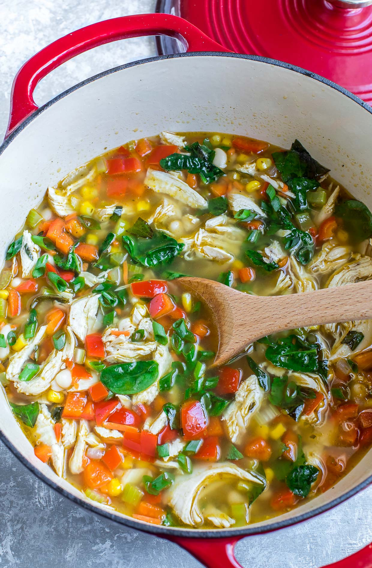 15 Of the Best Ideas for Chicken Vegetable soup