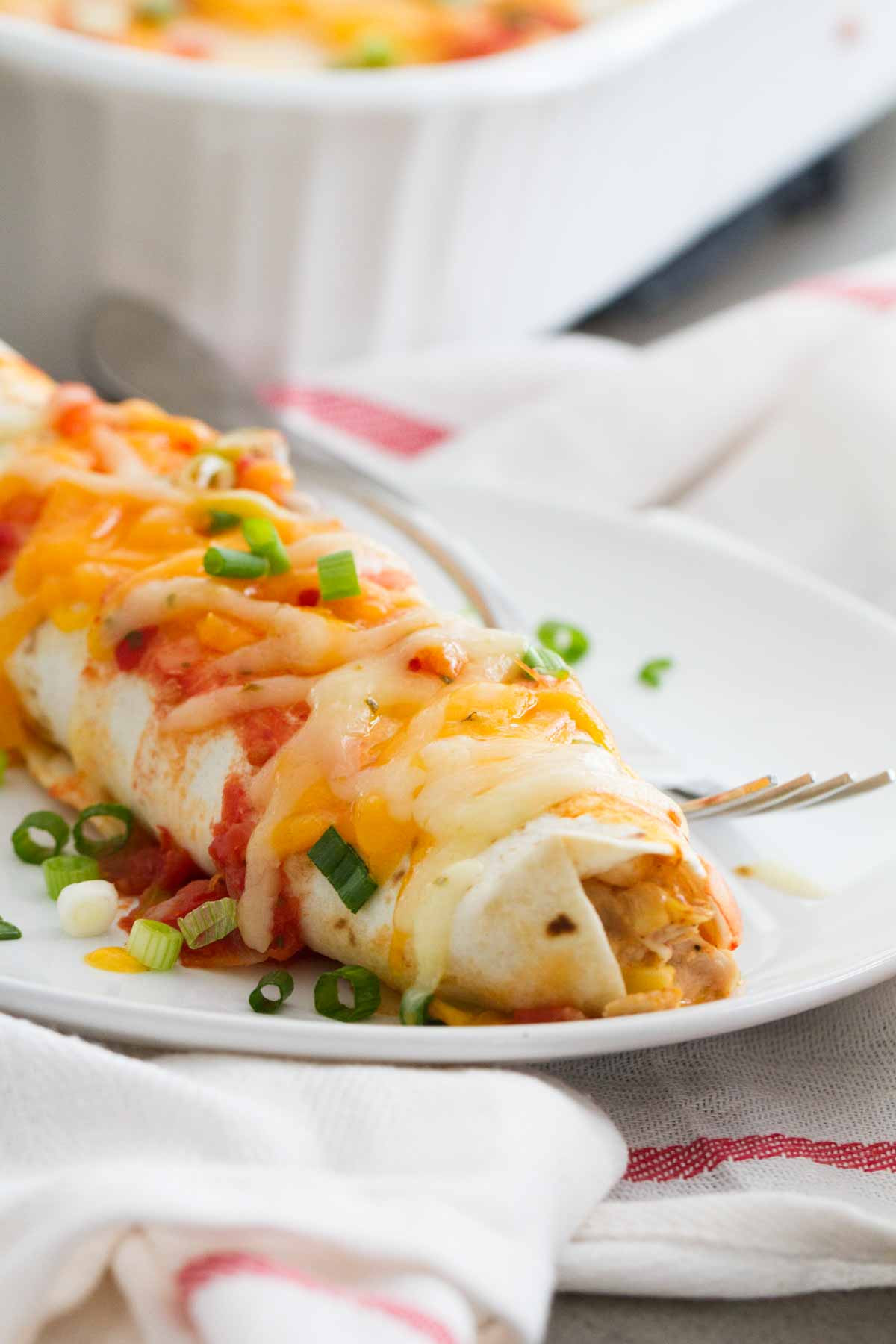 15  Ways How to Make the Best Creamy Chicken Enchiladas Cream Cheese
 You Ever Tasted