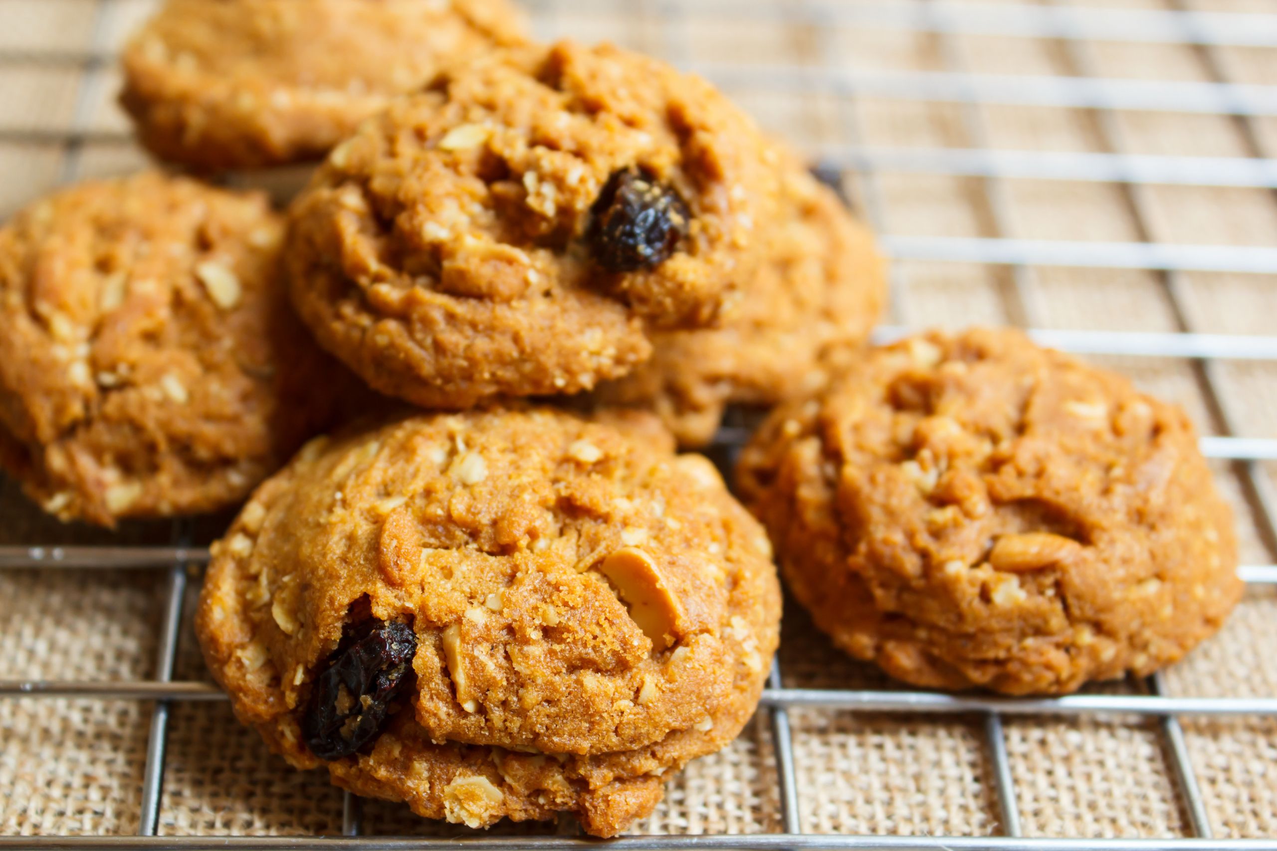 15  Ways How to Make Perfect Diabetic Oatmeal Cookie Recipes