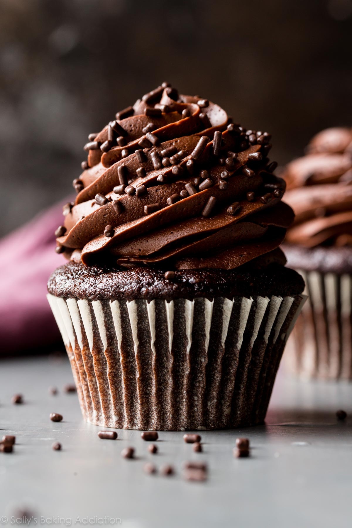 Best Sallys Baking Addiction Chocolate Cupcakes Collections