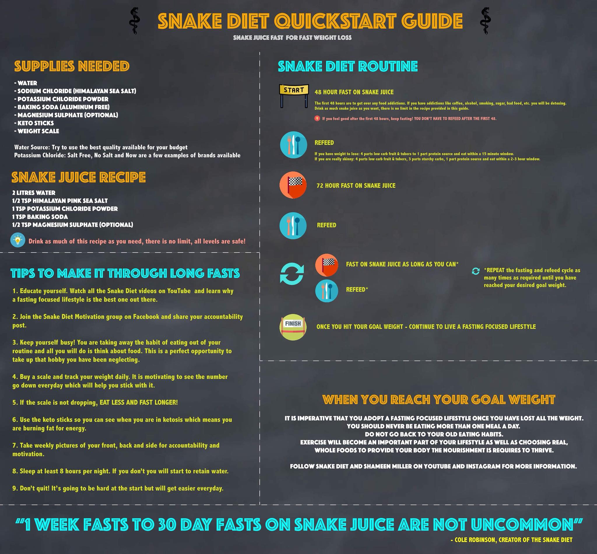 Snake Juice Diet New Snake Diet Quick Start Guide Snakejuice