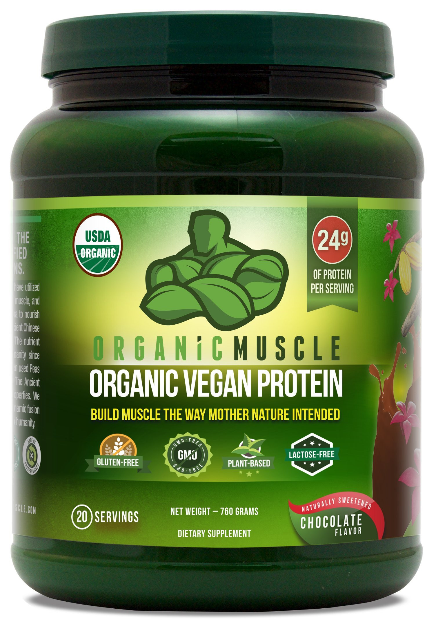 Vegetarian Protein Supplements Inspirational organic Vegan Protein Powder Great Tasting Chocolate