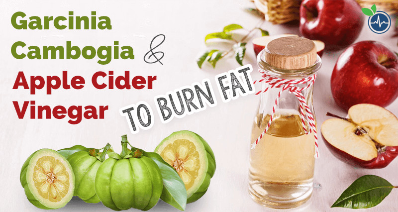 Apple Cider Vinegar Diet with Garcinia Cambogia Best Of Garcinia Cambogia and Apple Cider Vinegar