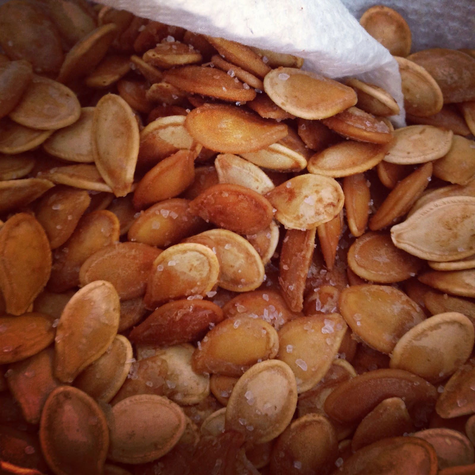 Don’t Miss Our 15 Most Shared Baking Pumpkin Seeds