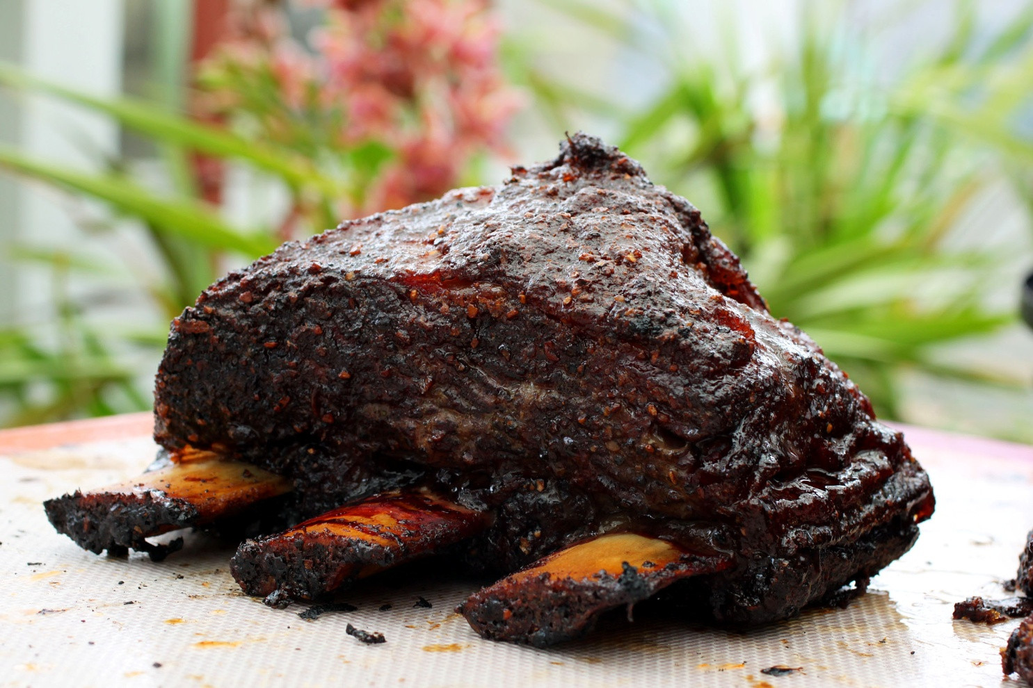 The top 15 Ideas About Barbeque Beef Short Ribs