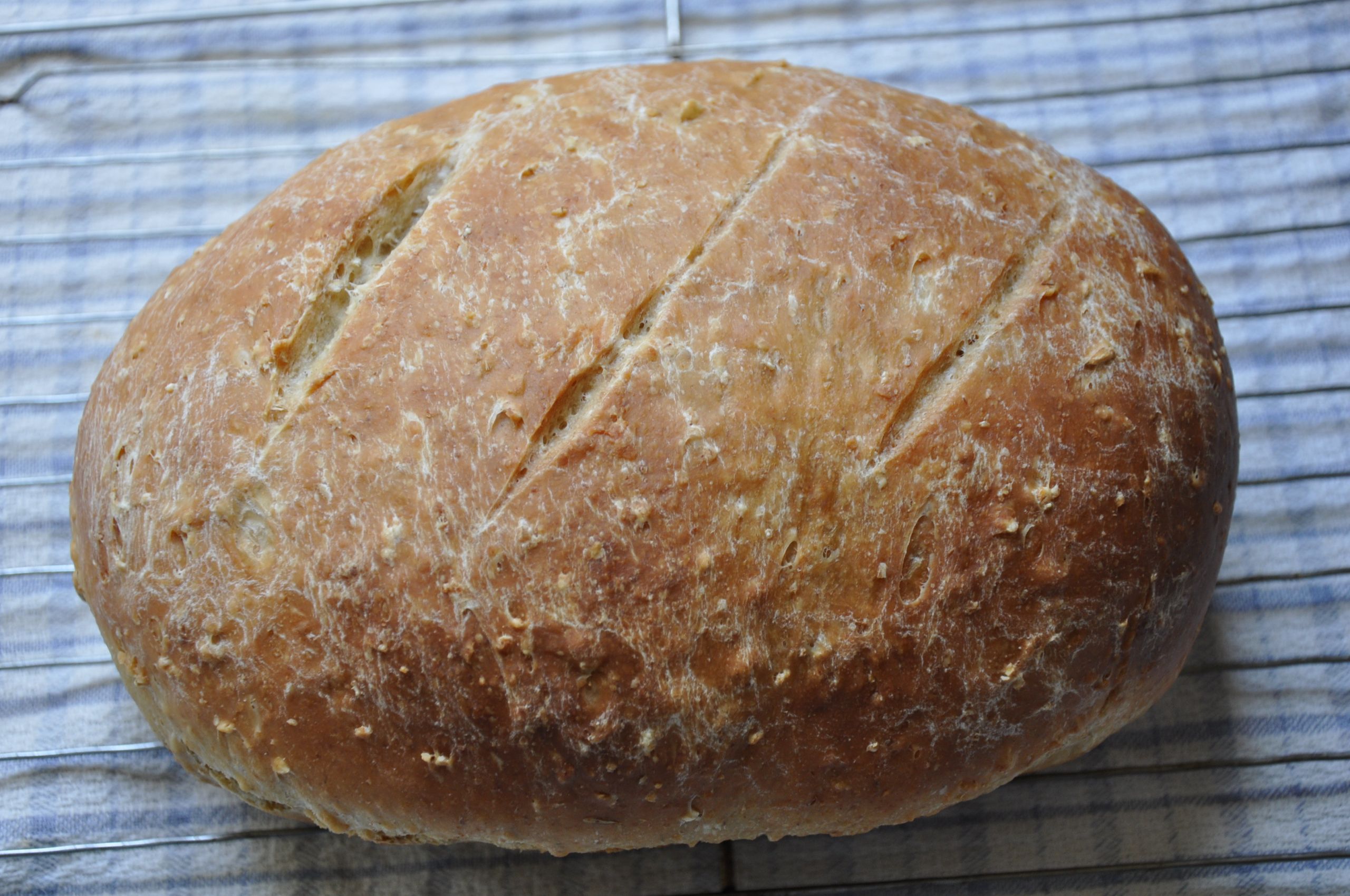 Best Barley Bread Recipe