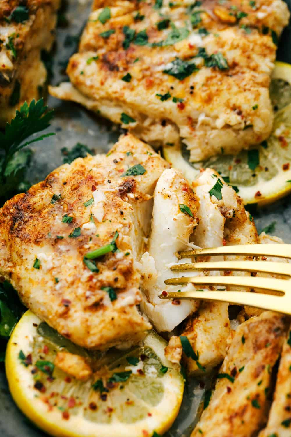 Top 15 Best Cod Fish Recipes Of All Time