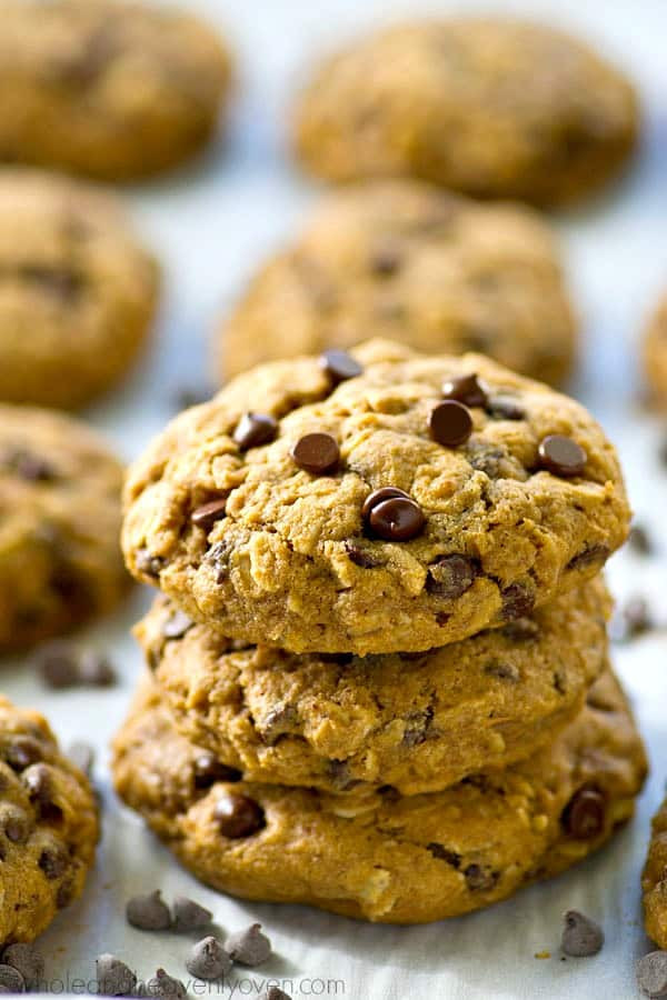 Best Best Oatmeal Chocolate Chip Cookies
 Collections