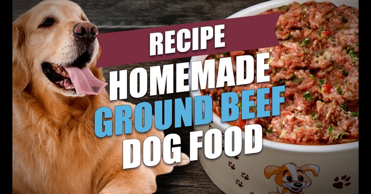 Can Dogs Eat Ground Beef Best Of Can I Feed My Dog Cooked Ground Beef Beef Poster