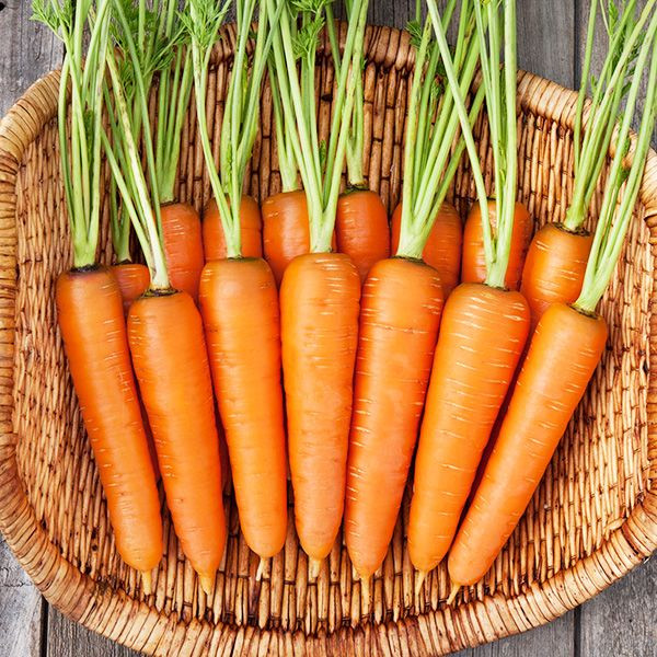 List Of Best Carrot Dietary Fiber Ever