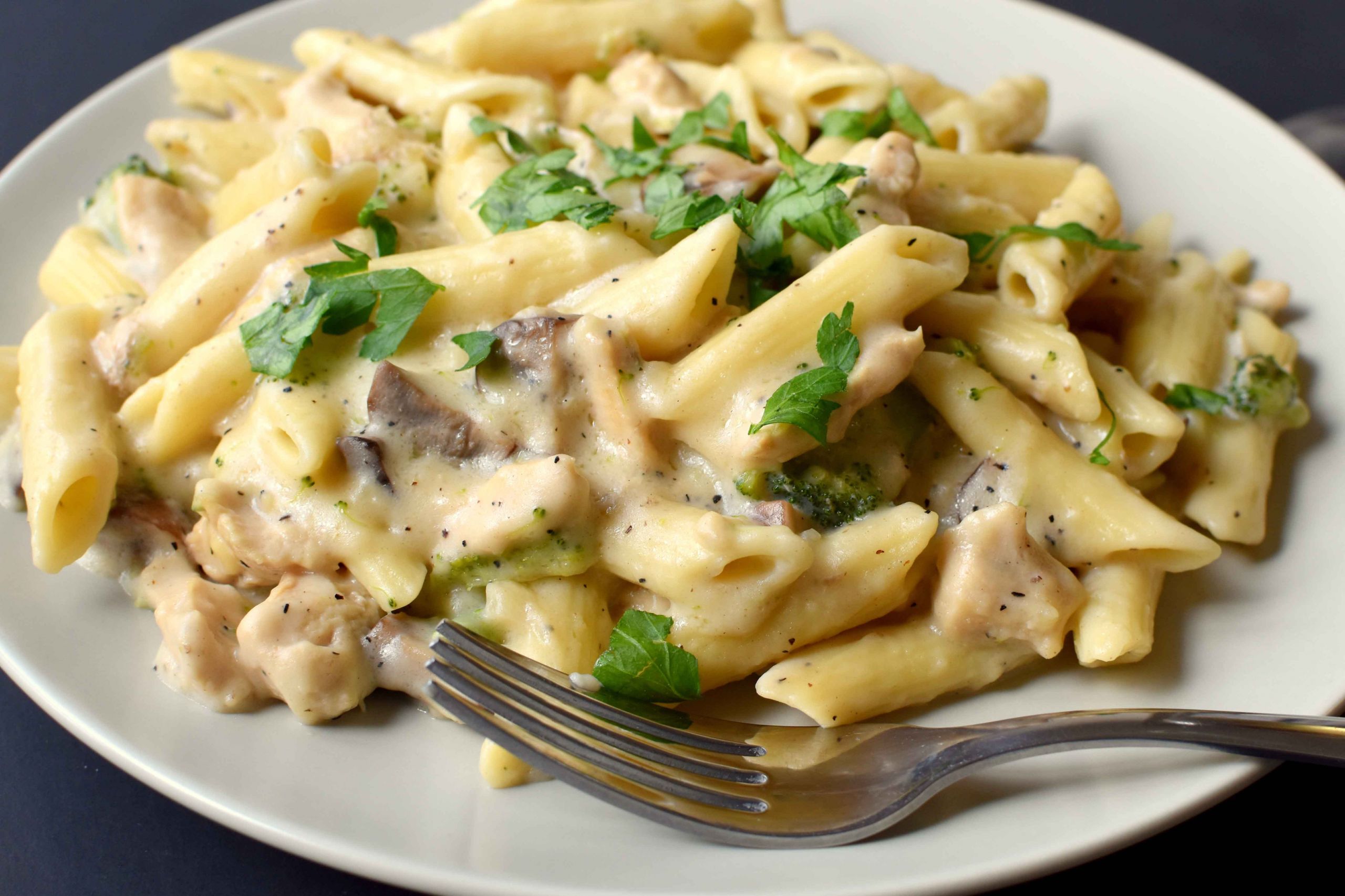 Chicken and Pasta Sauces Lovely Chicken Pasta with White Sauce Pepper Delight