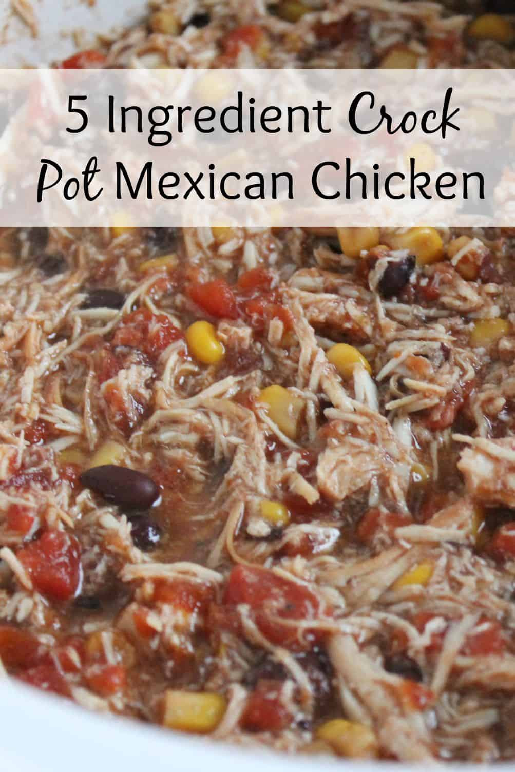 Easy Crockpot Mexican Chicken Recipes to Make at Home