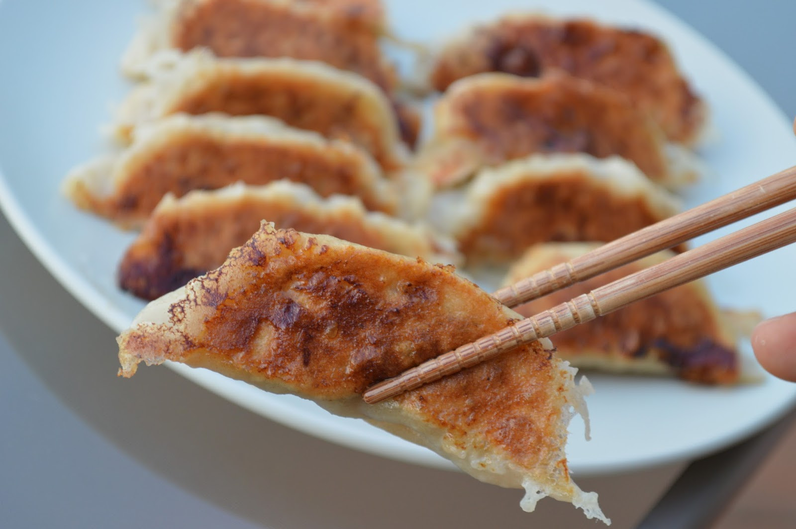 Top 15 Deep Fried Dumplings