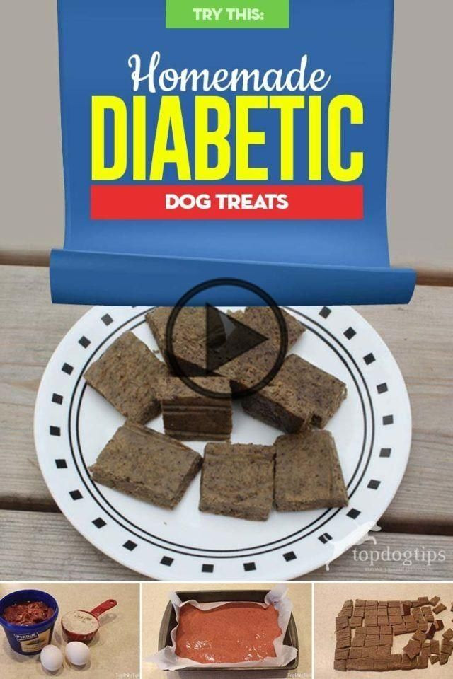 Diabetic Dog Treat Recipes New Video Homemade Diabetic Dog Treat Recipe and Instructions
