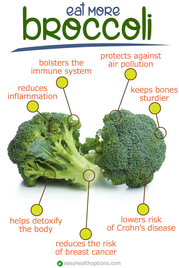 The Most Satisfying Does Broccoli Have Fiber
