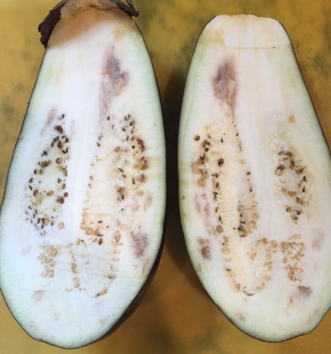 Eggplant Brown Inside Awesome Brownish areas Inside This Eggplant Look Shady but they