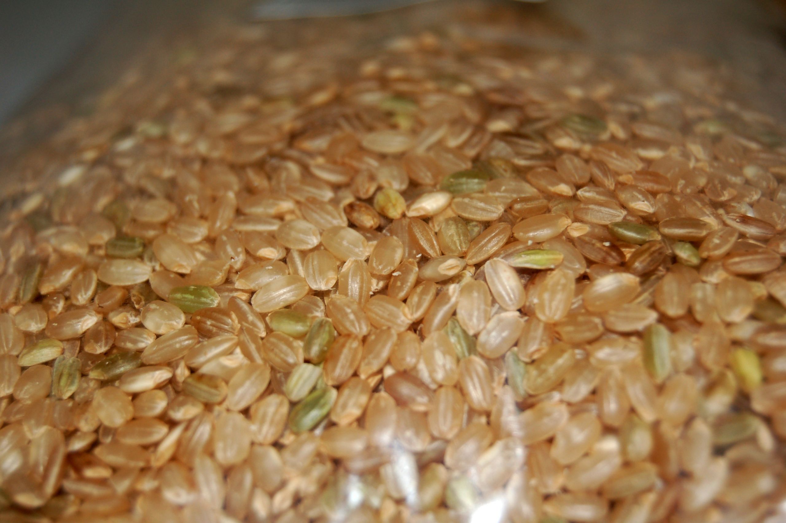 15 Ideas for Fiber In Brown Rice