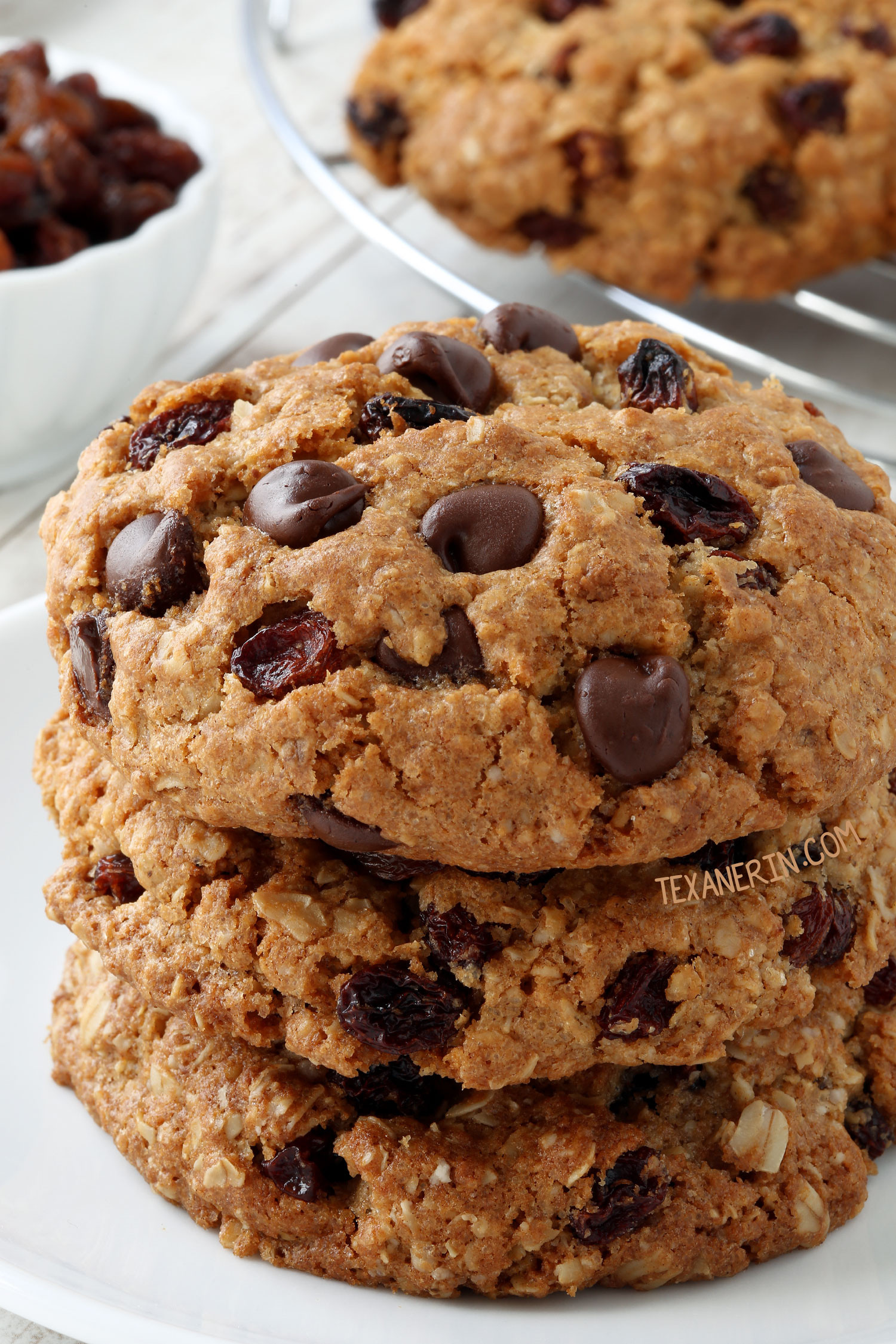 Gluten Free Dairy Free Oatmeal Cookies Lovely 20 Gluten Free Cookies You Ll Want to Inhale Texanerin