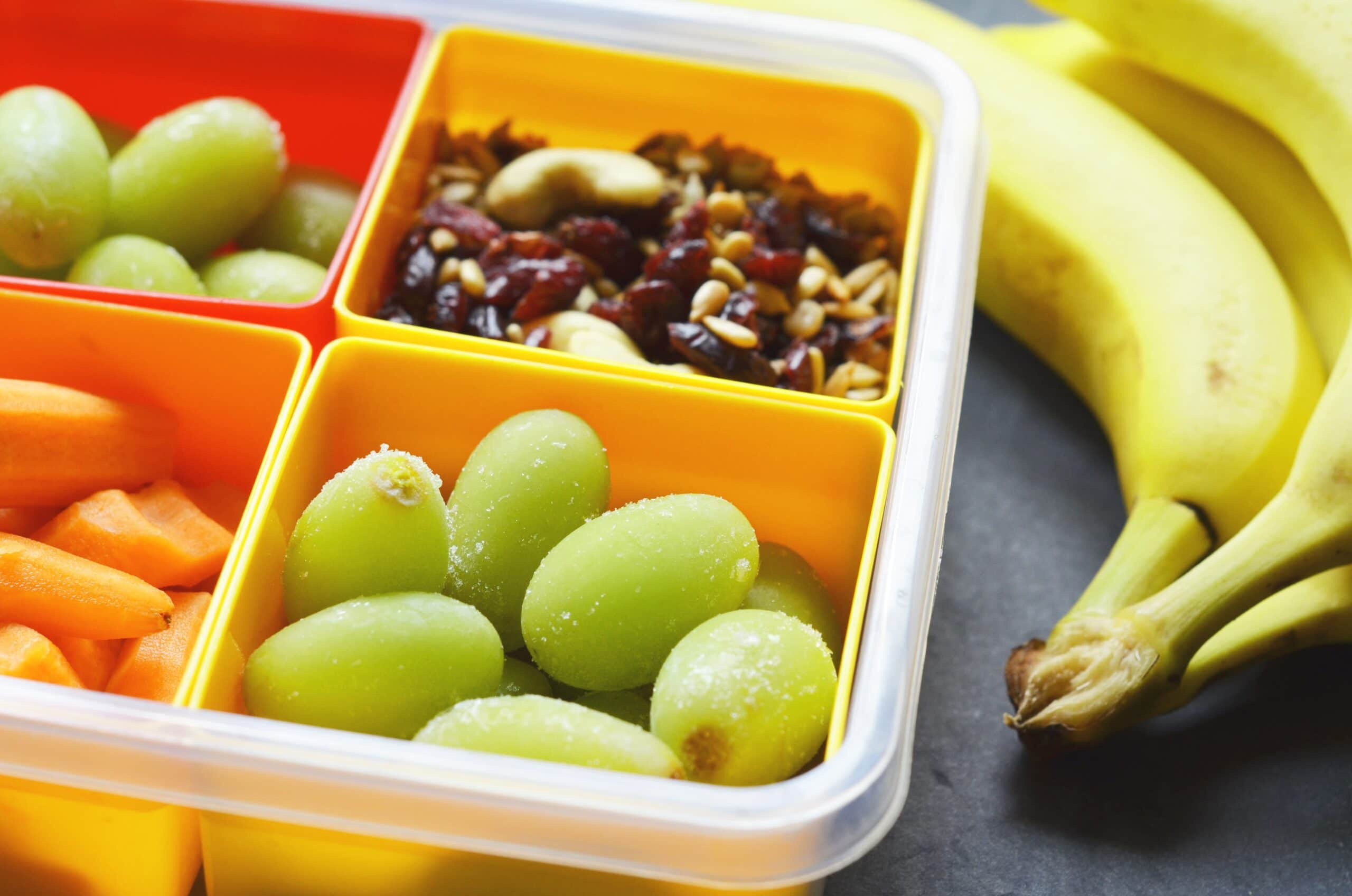15 Delicious Healthy Snacks for Kids at School