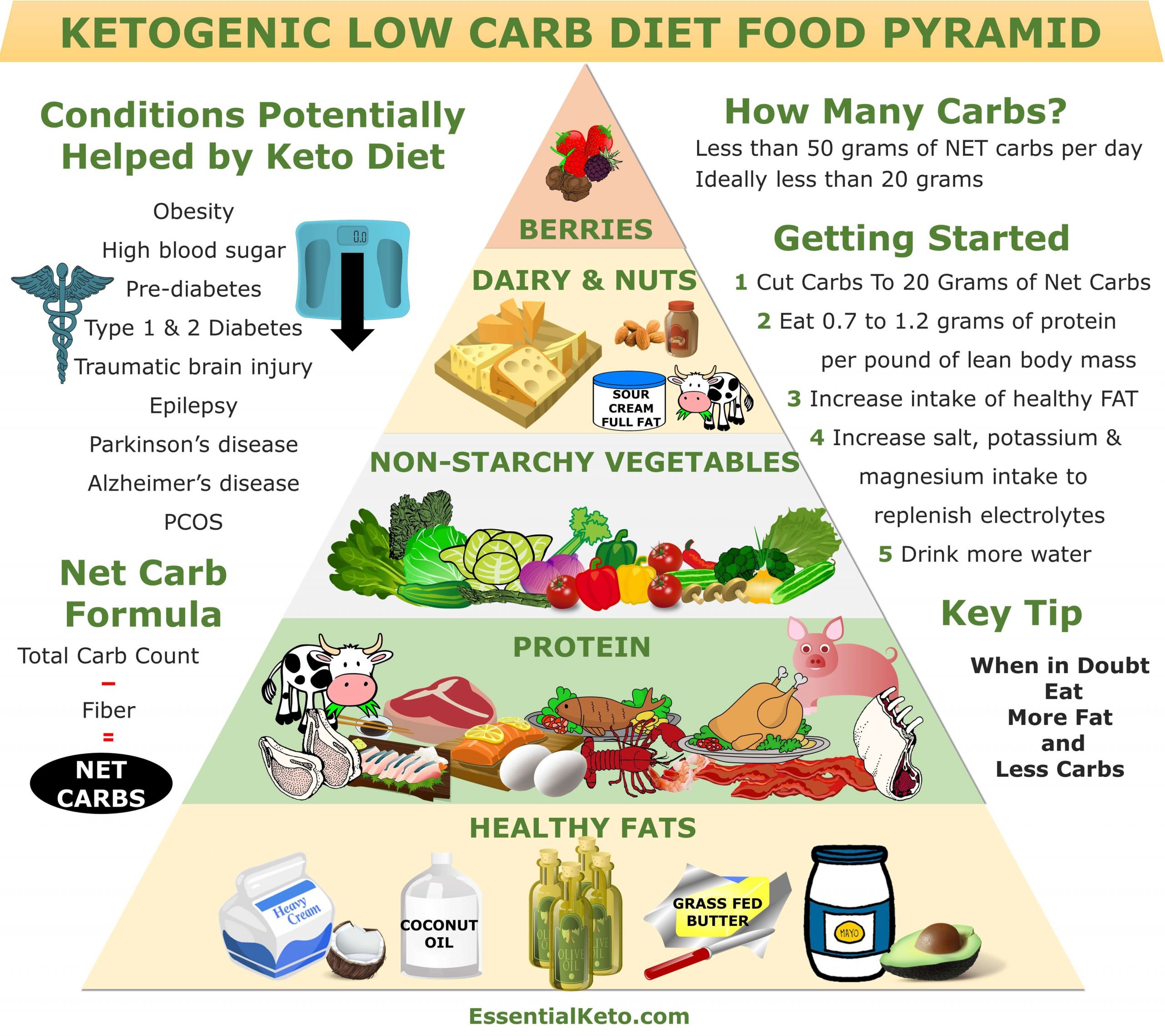 Keto Low Carb Diet Awesome Ketogenic Low Carb Diet Food Pyramid Diet Plan