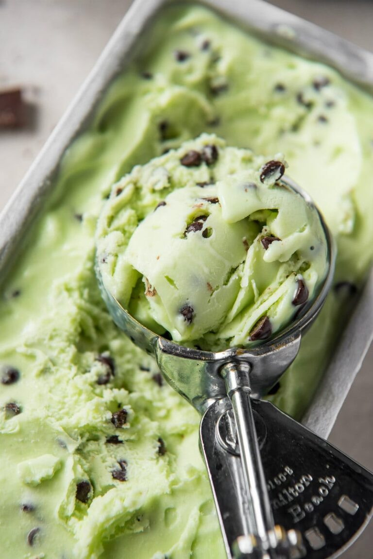 Low Fat Ice Cream Recipes Inspirational Low Fat Mint Chocolate Chip Ice Cream Yummiesta