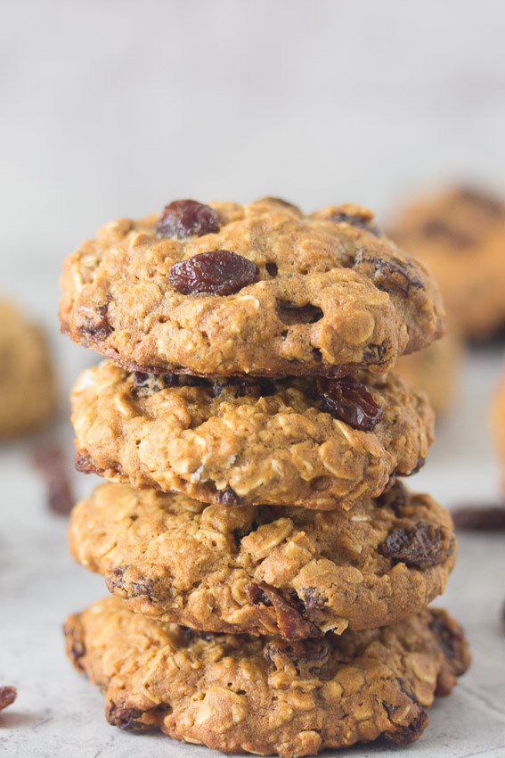 15 Low Fat Oatmeal Cookies Anyone Can Make