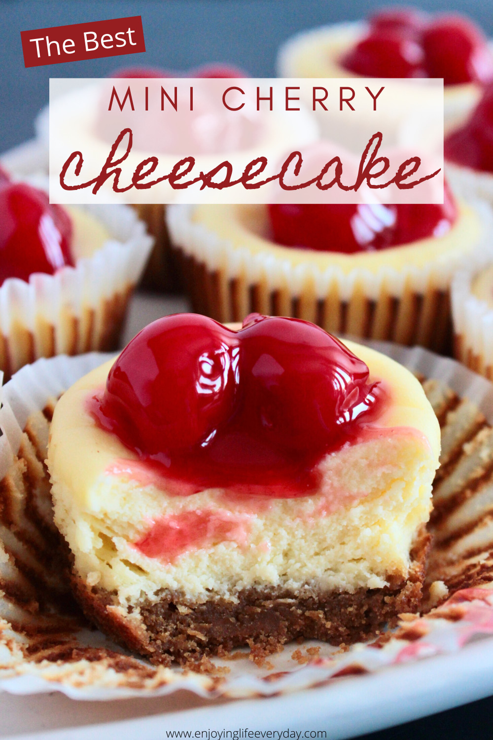 All Time top 15 Mini Cheesecake Bites Recipe Graham Cracker