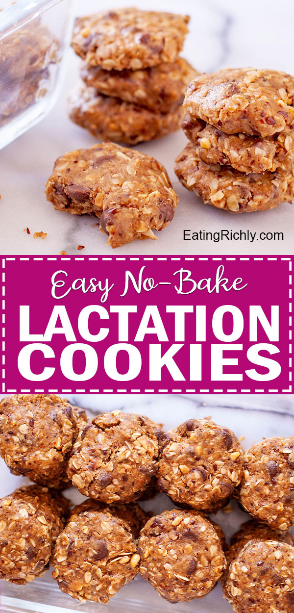 15  Ways How to Make the Best No Bake Lactation Cookies You Ever Tasted