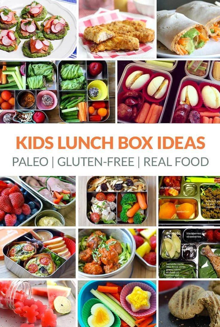 Paleo Diet for Kids New Paleo Kids Lunch Box Ideas Nut Free