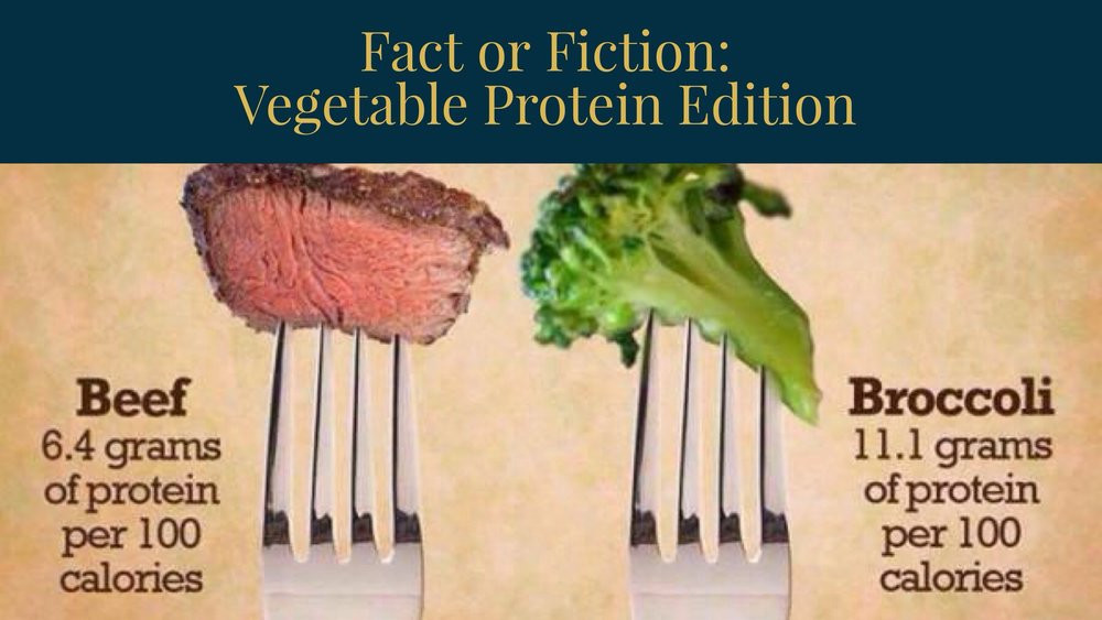 Protein In Broccoli Vs Chicken Best Of Fact or Fiction Ve Able Protein Edition — Thinkybites