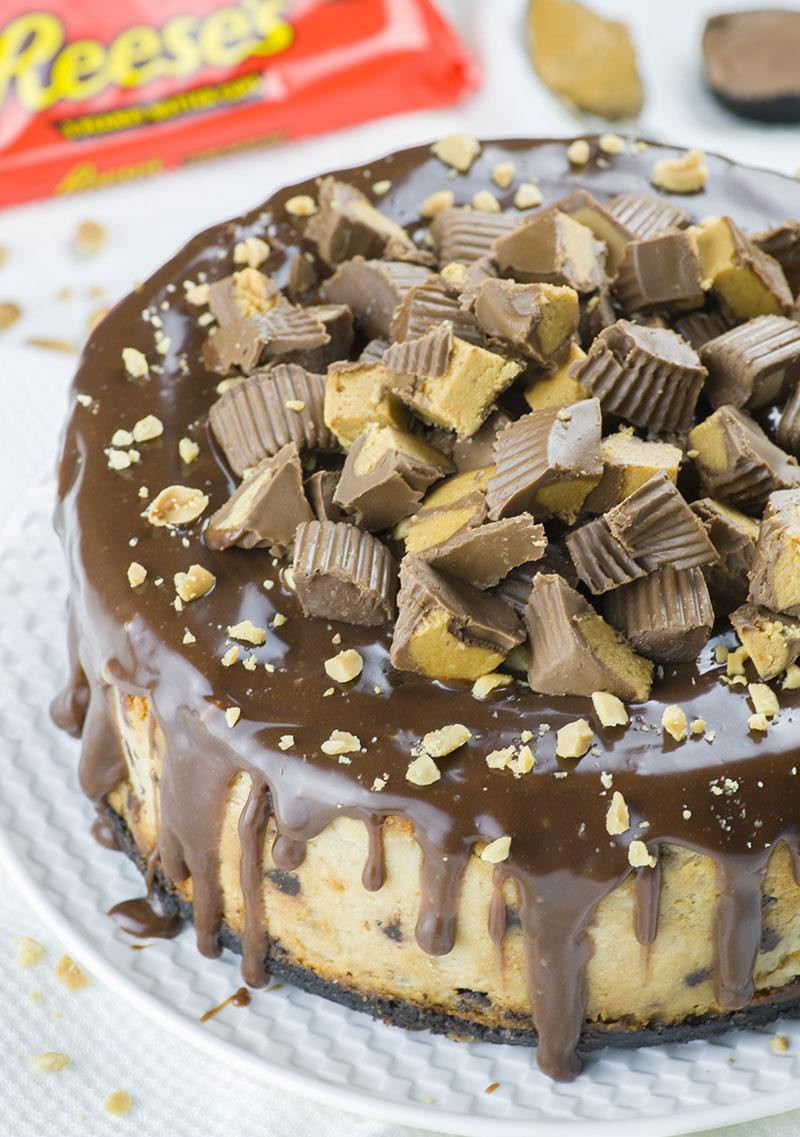Reese Peanut butter Cheesecake Recipe Awesome Reese’s Peanut butter Cheesecake