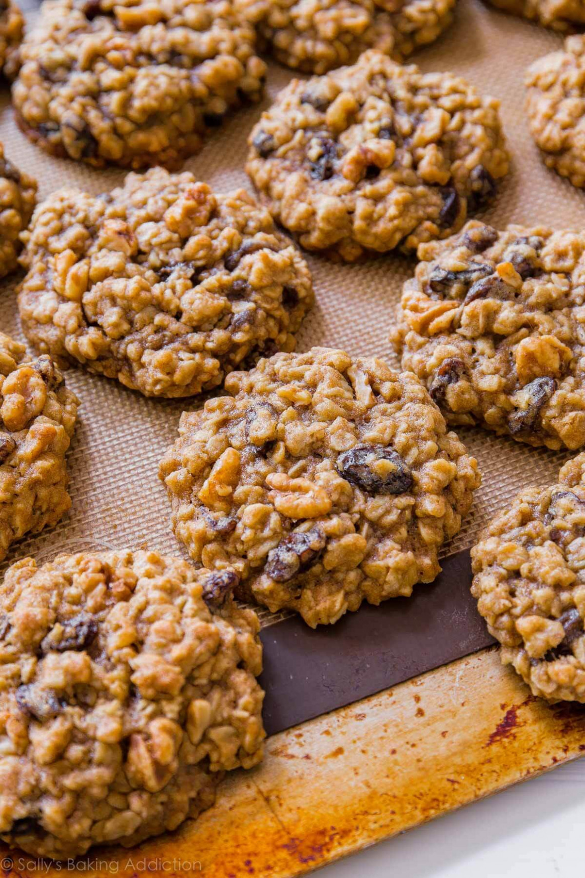 Best Sallys Baking Addiction Oatmeal Cookies
 Collections