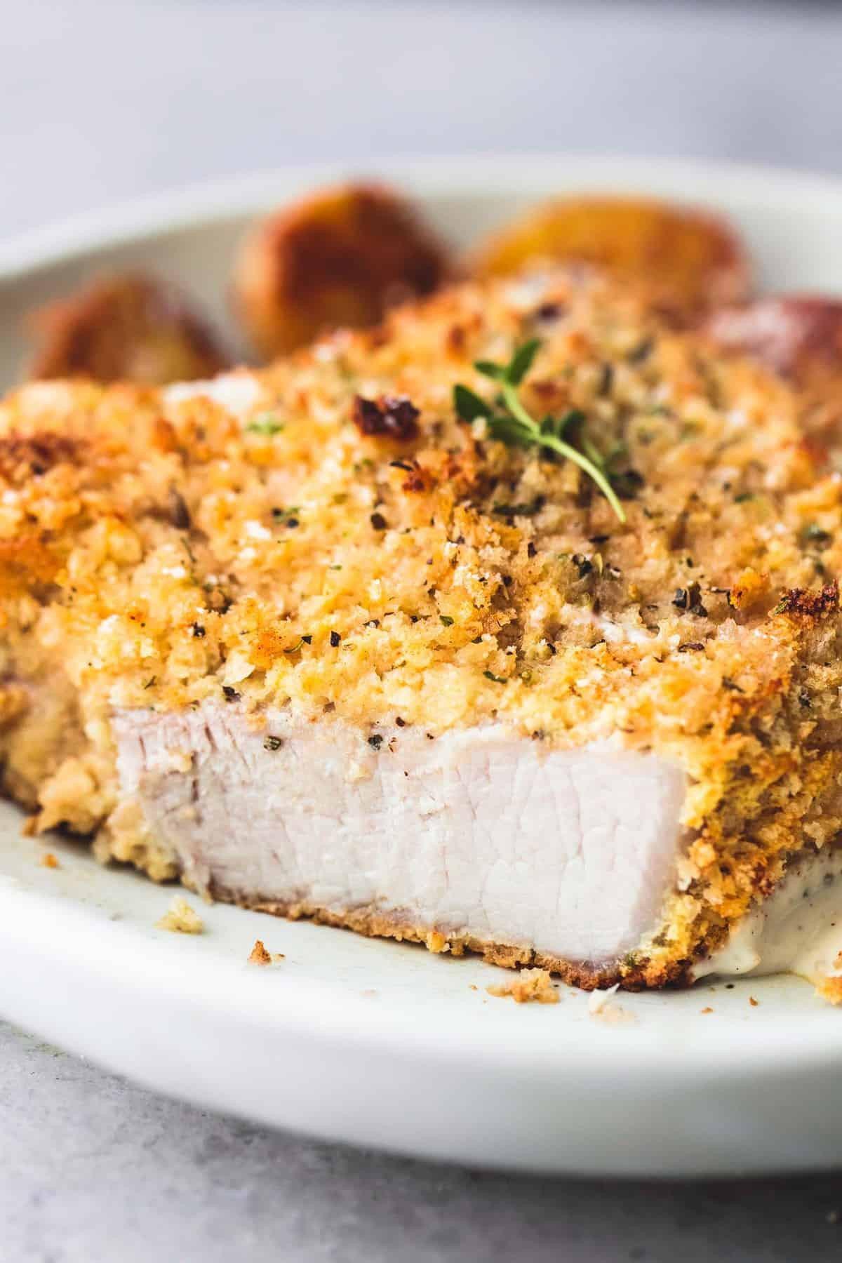 Best Recipes for Shake and Bake Pork Chops