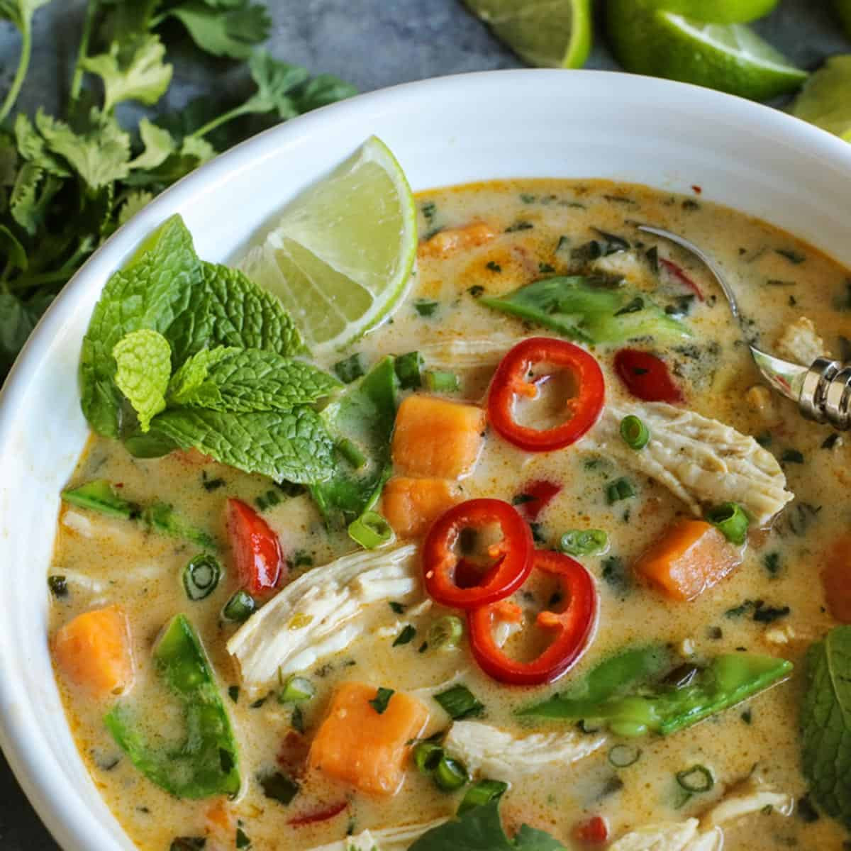 Thai Chicken soup Recipe Awesome Thai Chicken soup • Easy Thai soup • A Farmgirl S Dabbles