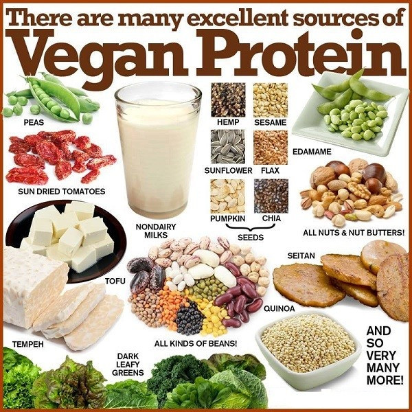 Vegetarian Foods High In Protein New What are some Readily Available High Protein Vegan Foods