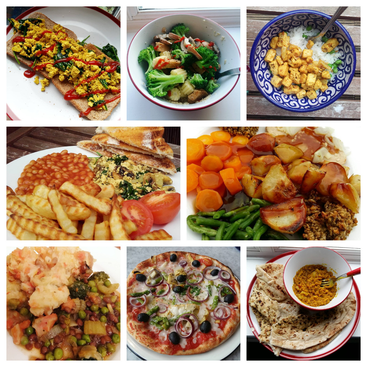 Vegetarian Recipes for Beginners Awesome 10 Easy Vegan Meals for Beginners